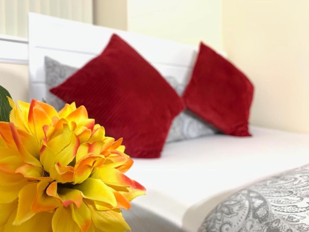 Edinburgh Ocean Inn Екстер'єр фото